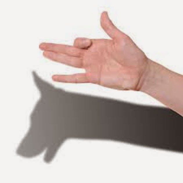 hand-signals-that-you-can-teach-your-dog-5243382