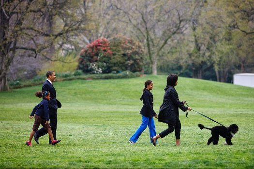 obama_family_walks_with_first_dog_bo_4-14-09-7295949