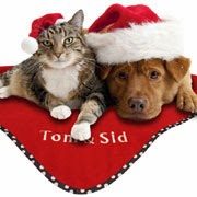 personalised-christmas-pet-blanket-5177483