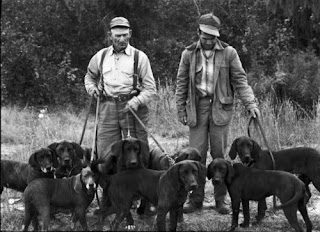 plott-hound-hunt-1477619